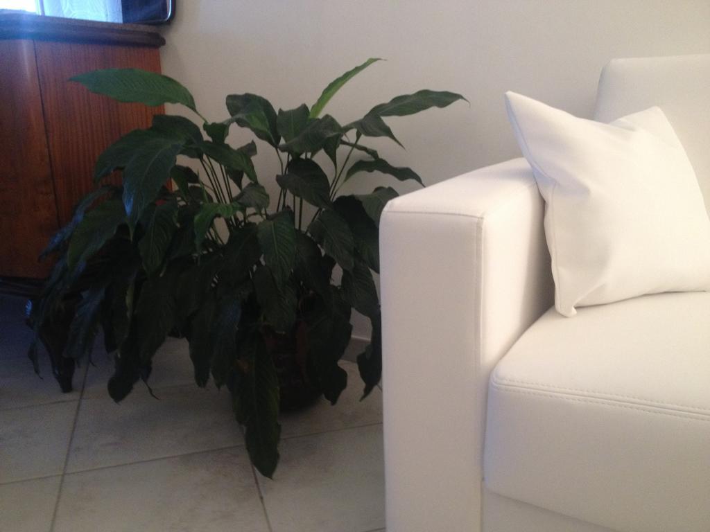 אורטונה Via Roma Suite מראה חיצוני תמונה